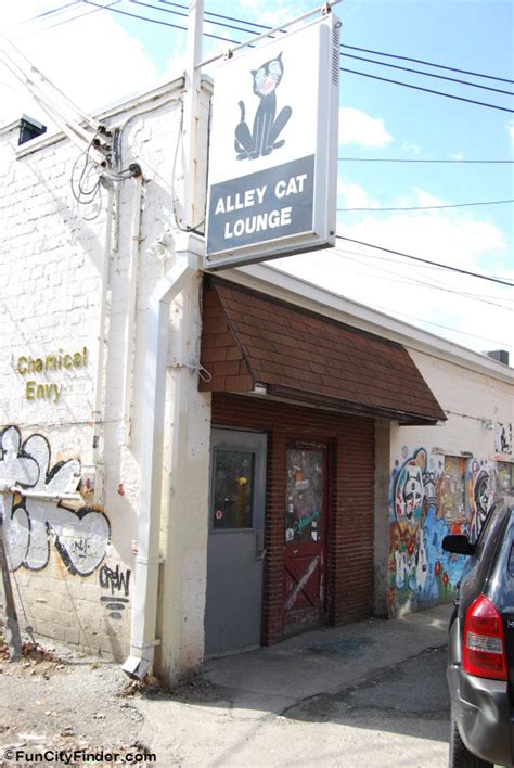 alley cat lounge indianapolis|alley cat in indianapolis.